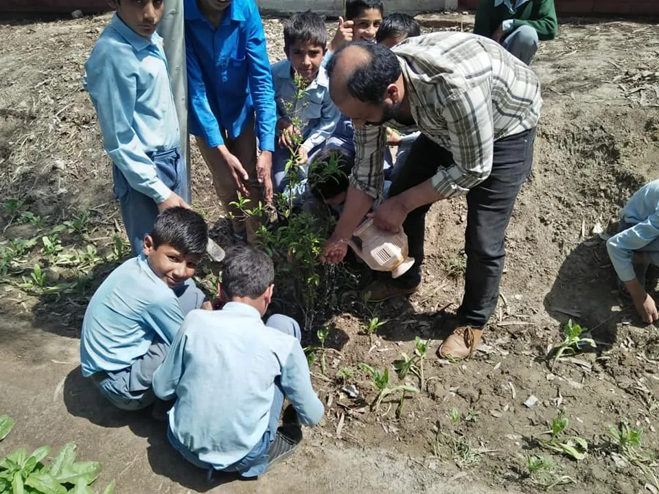 Green Seekers Activity